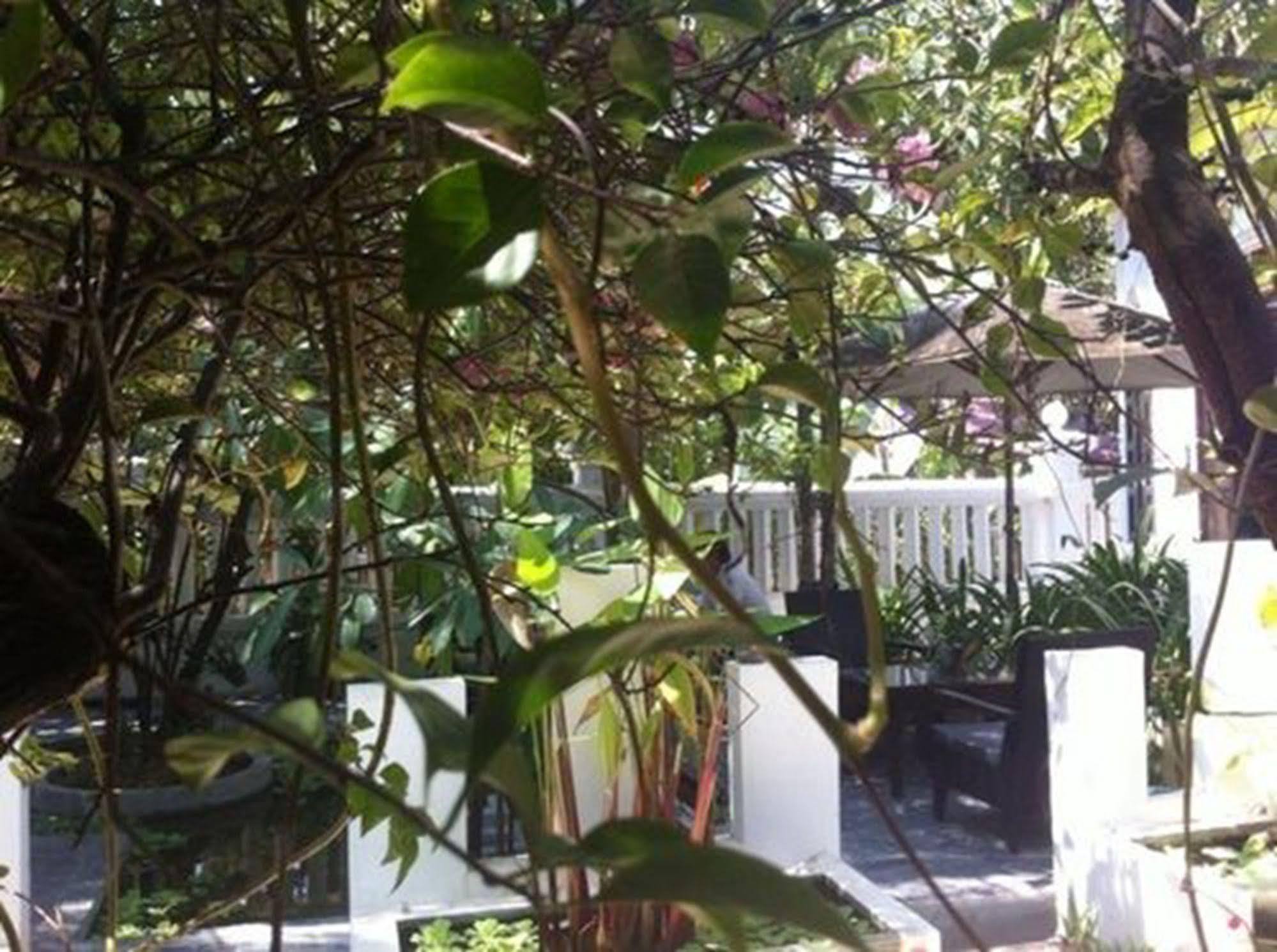 Eocambo Villa Ciudad de Siem Riep Exterior foto
